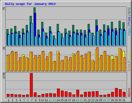 Daily usage for January 2013