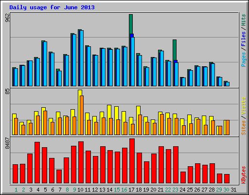 Daily usage for June 2013
