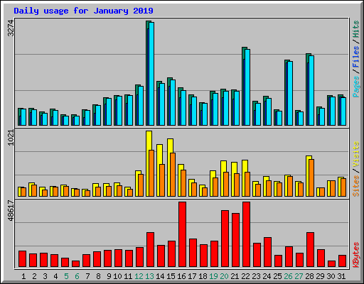 Daily usage for January 2019