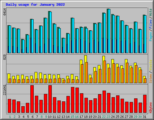 Daily usage for January 2022