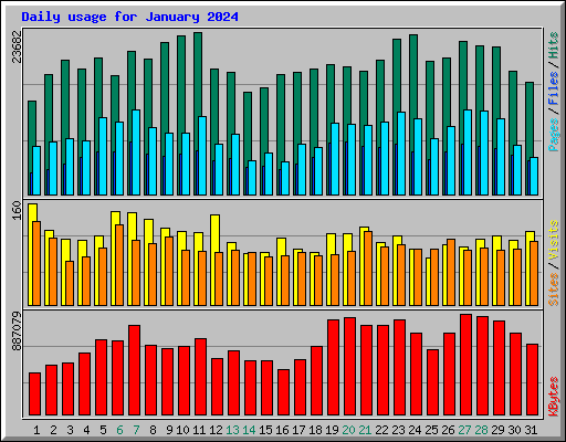 Daily usage for January 2024