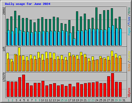 Daily usage for June 2024
