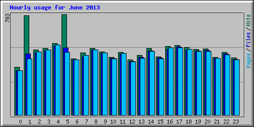 Hourly usage for June 2013