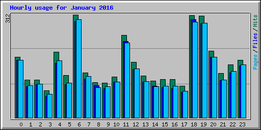 Hourly usage for January 2016