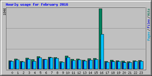 Hourly usage for February 2016