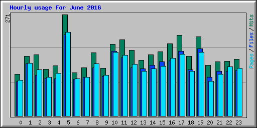 Hourly usage for June 2016