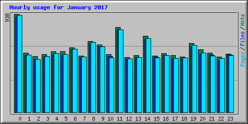 Hourly usage for January 2017