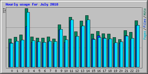 Hourly usage for July 2018