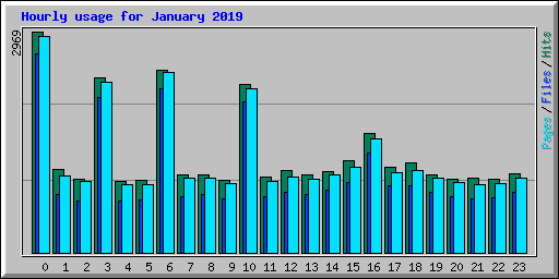 Hourly usage for January 2019