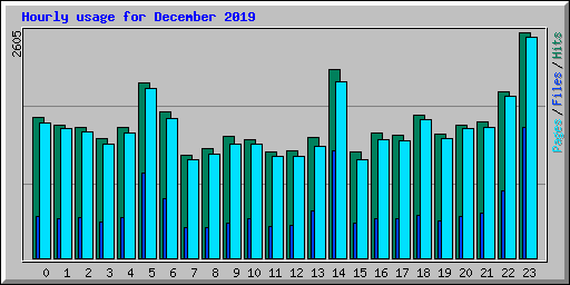 Hourly usage for December 2019