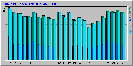 Hourly usage for August 2020