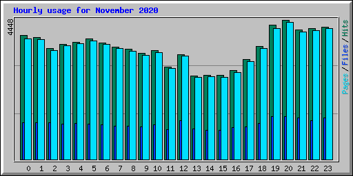 Hourly usage for November 2020