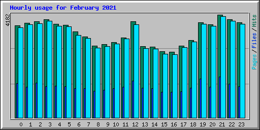 Hourly usage for February 2021