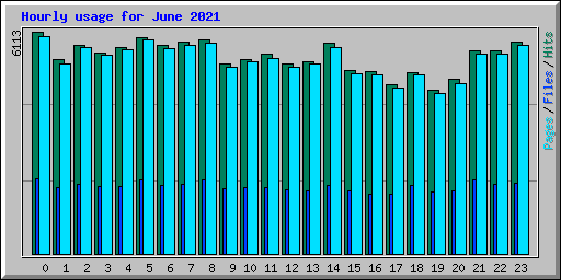 Hourly usage for June 2021