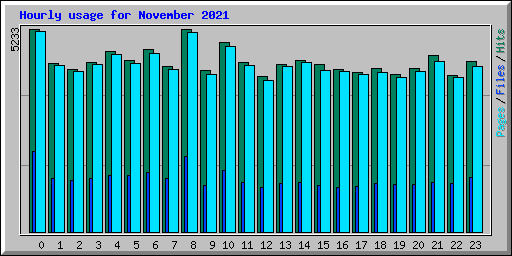 Hourly usage for November 2021