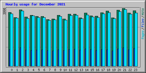 Hourly usage for December 2021