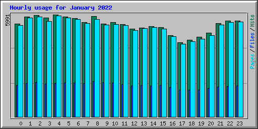 Hourly usage for January 2022