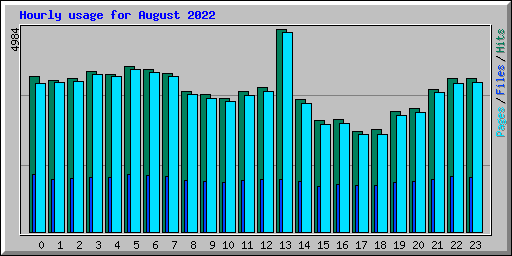 Hourly usage for August 2022