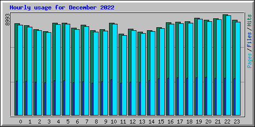 Hourly usage for December 2022