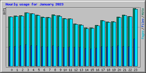 Hourly usage for January 2023
