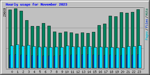 Hourly usage for November 2023