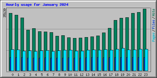 Hourly usage for January 2024