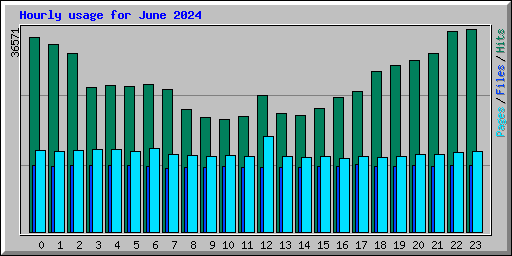 Hourly usage for June 2024
