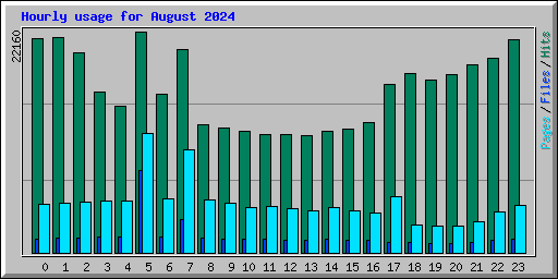 Hourly usage for August 2024
