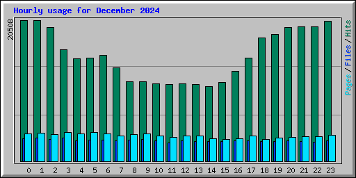 Hourly usage for December 2024
