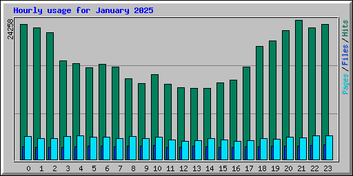 Hourly usage for January 2025