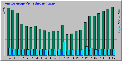Hourly usage for February 2025