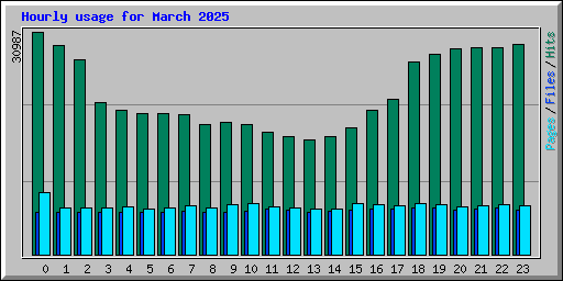 Hourly usage for March 2025