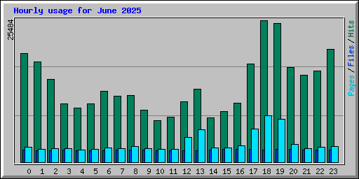 Hourly usage for June 2025