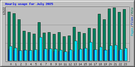 Hourly usage for July 2025