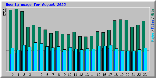 Hourly usage for August 2025