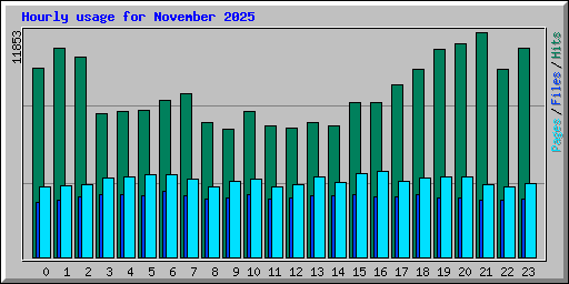 Hourly usage for November 2025