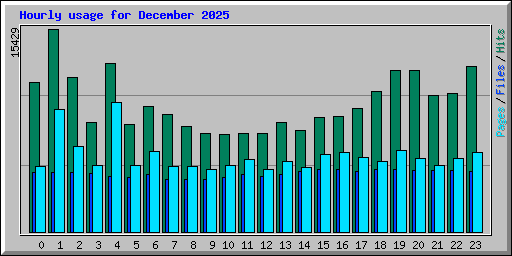 Hourly usage for December 2025