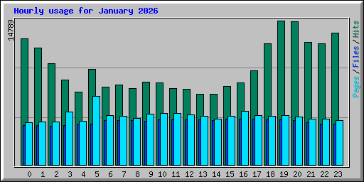 Hourly usage for January 2026