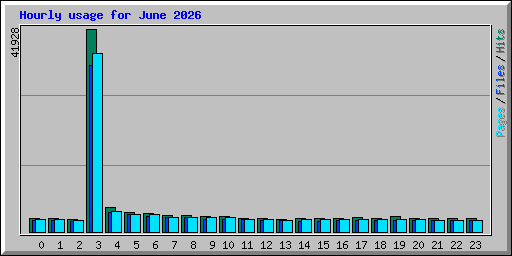 Hourly usage for June 2026