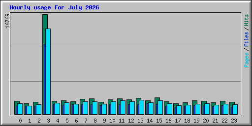 Hourly usage for July 2026
