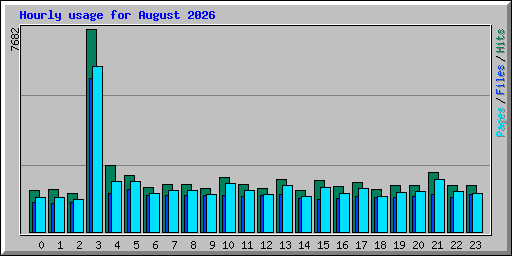 Hourly usage for August 2026